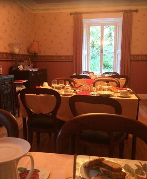 Bed and Breakfast Cloncarlin House Monasterevin Zewnętrze zdjęcie